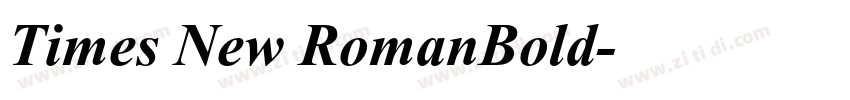 Times New RomanBold字体转换